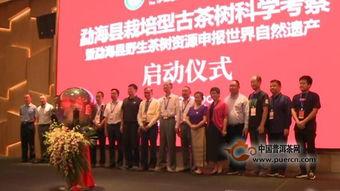 云南普洱新闻爆料电话,倾听民声，传递正义之声